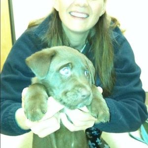 Meet your Posher, Diane